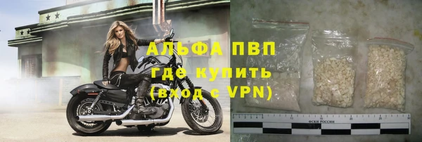 прущие грибы Лихославль