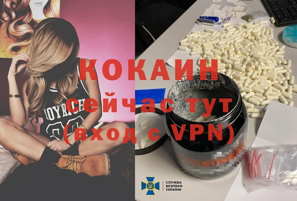 прущие грибы Лихославль