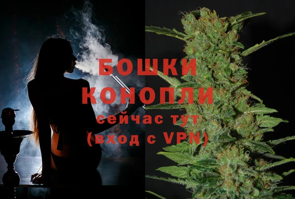 прущие грибы Лихославль