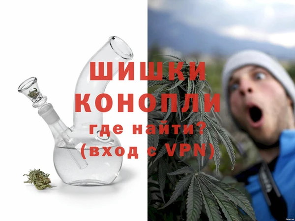 прущие грибы Лихославль